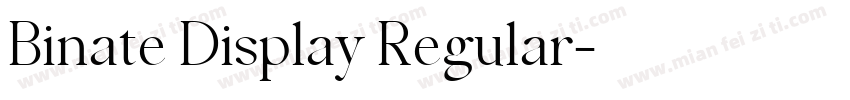 Binate Display Regular字体转换